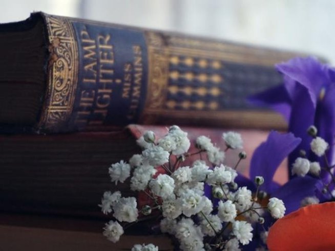 Снимка: Pexels