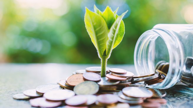 Снимка: iStock