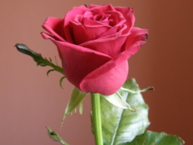 Чакам сляпата неделя 