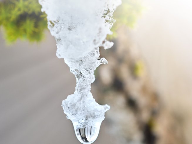 Снимка: Sxc.hu