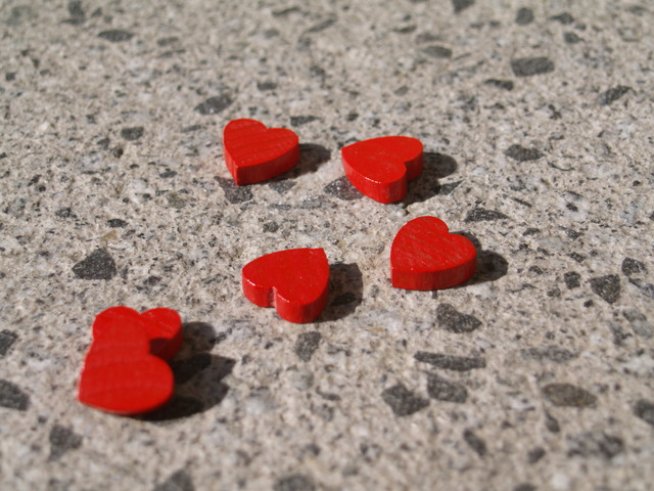 Снимка: Sxc.hu