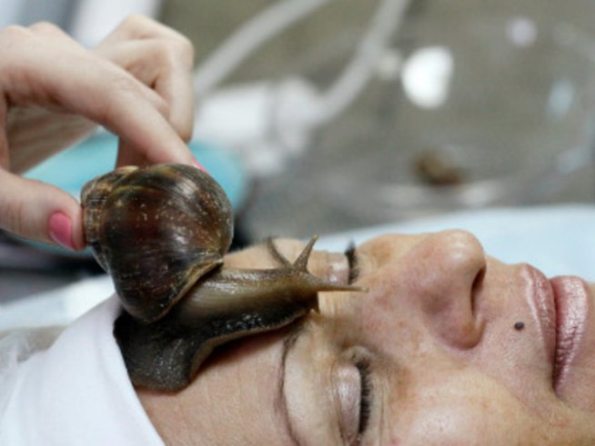 Екомасаж с живи охлюви на лицето
