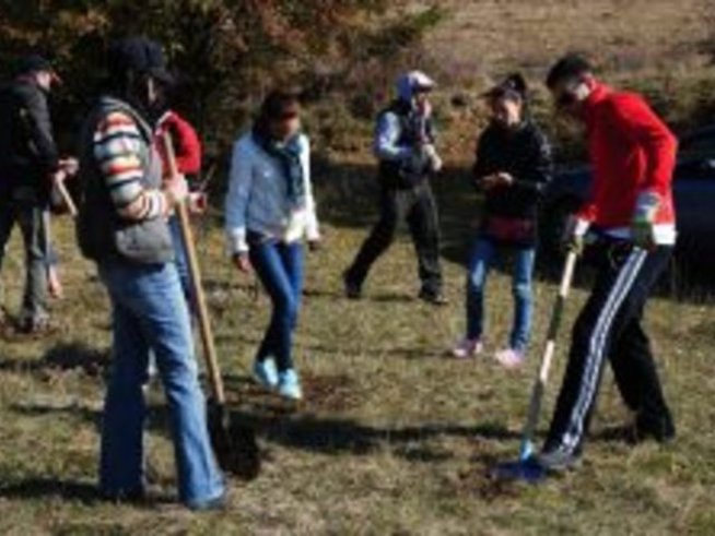 Банкови служители посадиха над 1300 върби по поречието на Струма