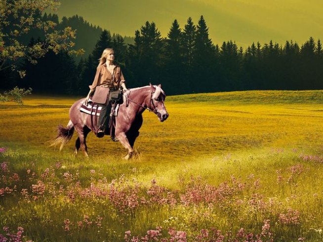 Корица: издателство "Хермес"