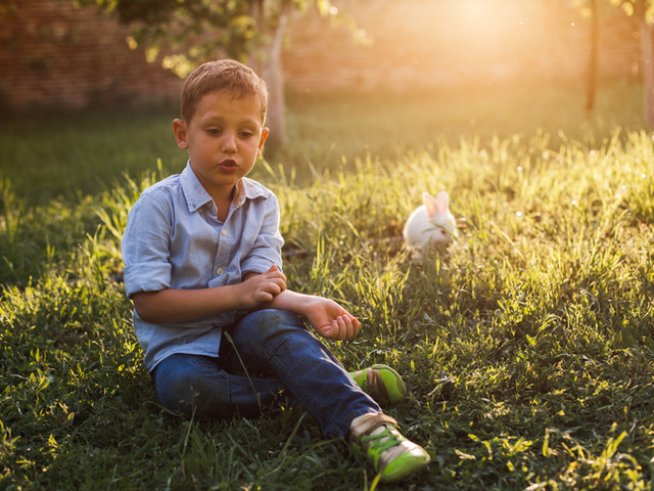 Снимка: istock