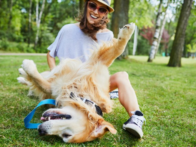 Снимка: istock