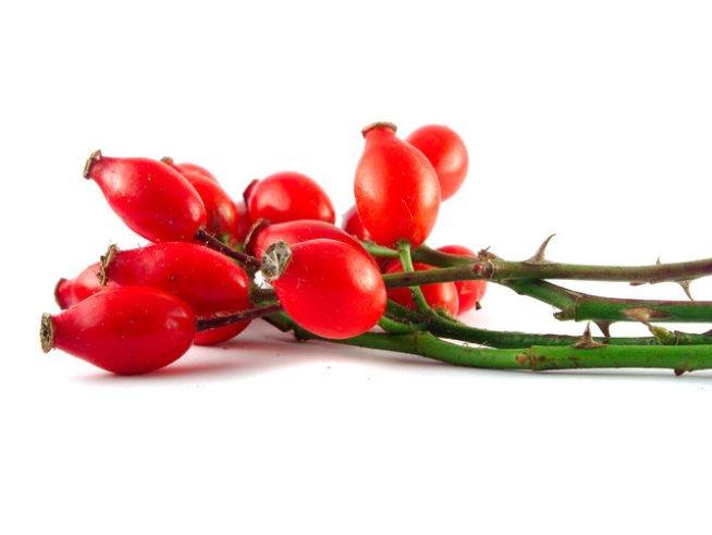 Снимка: Sxc.hu