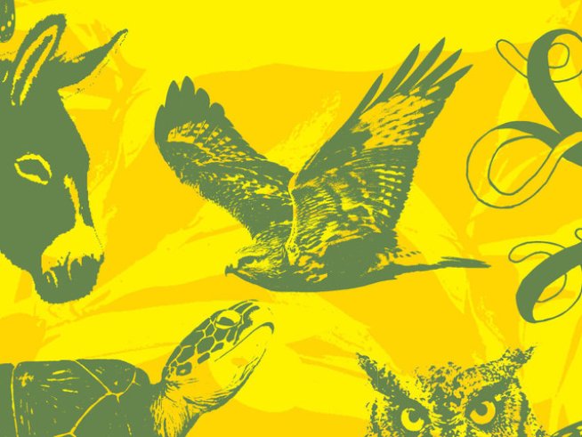 Пролетен ден на Корфу, син като перцето на сойка