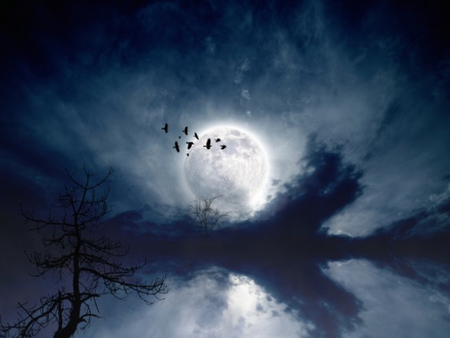 Снимка: thinkstock