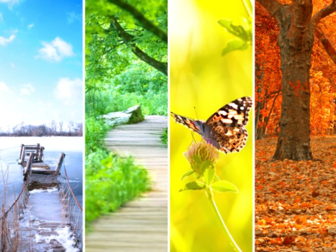 Снимка: thinkstock