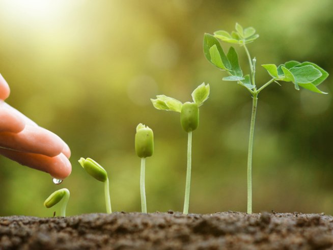 Снимка: istock