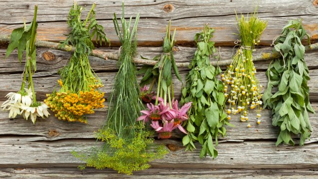 Снимка: iStock