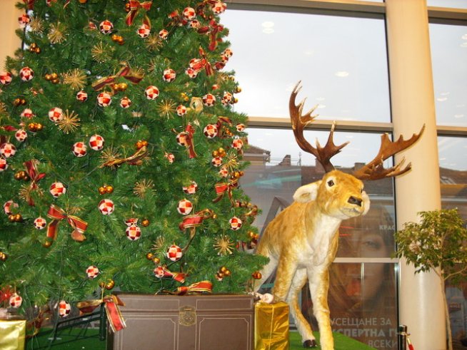 Снимка: Ивет Лолова