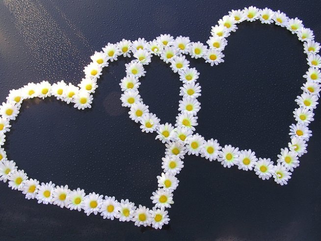 Снимка: Sxc.hu