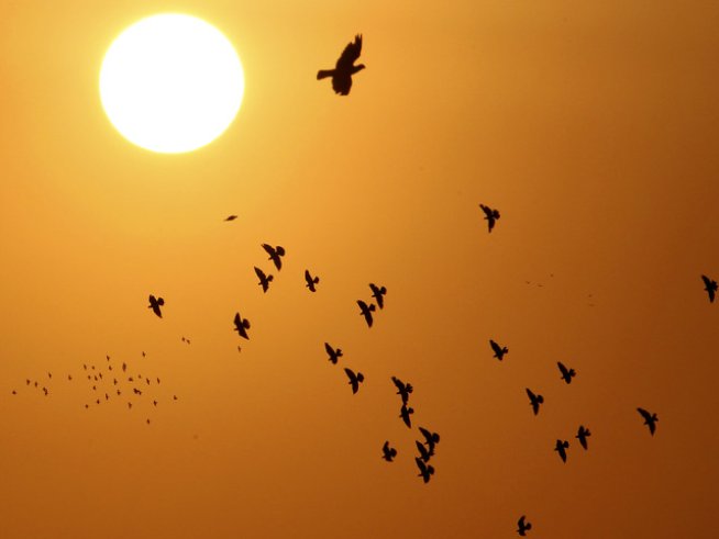 Снимка: Reuters