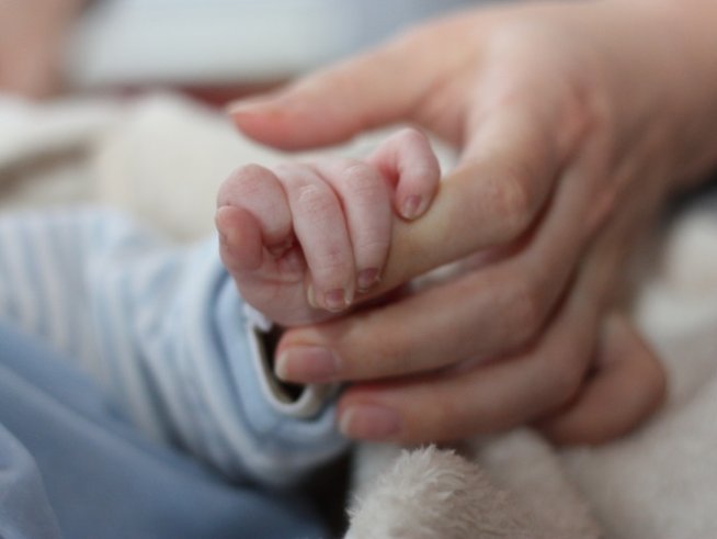 Снимка: sxc.hu