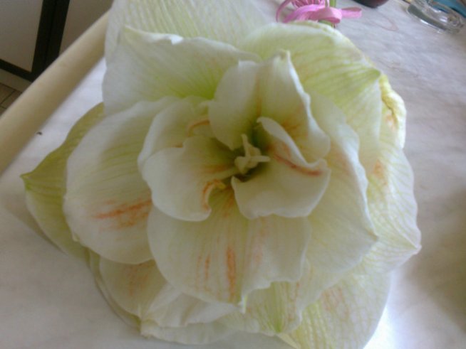 Снимка: личен архив