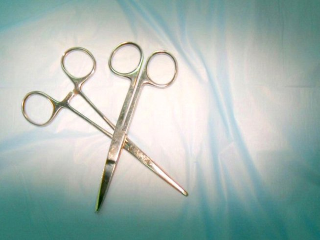 Снимка: Sxc.hu