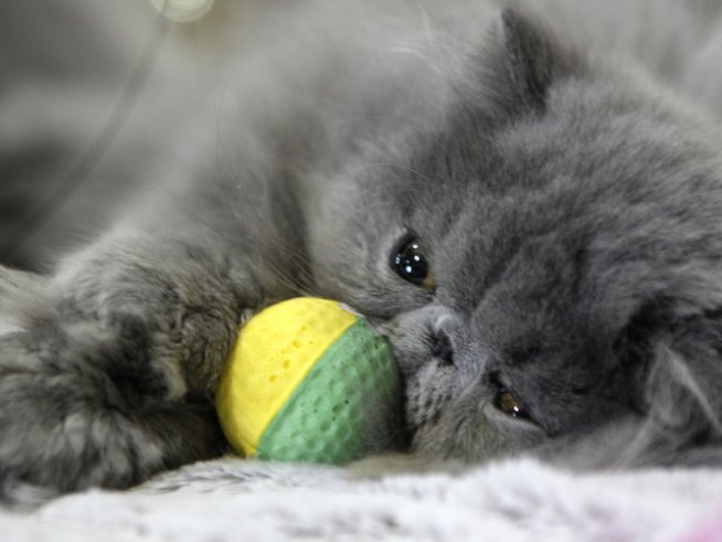 Снимка: Reuters