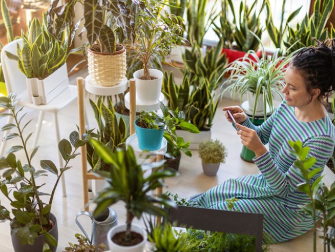 Снимка: istock