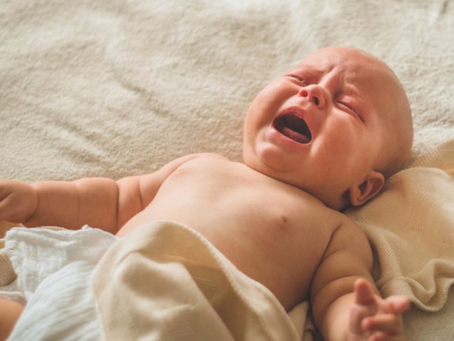 Снимка: istock