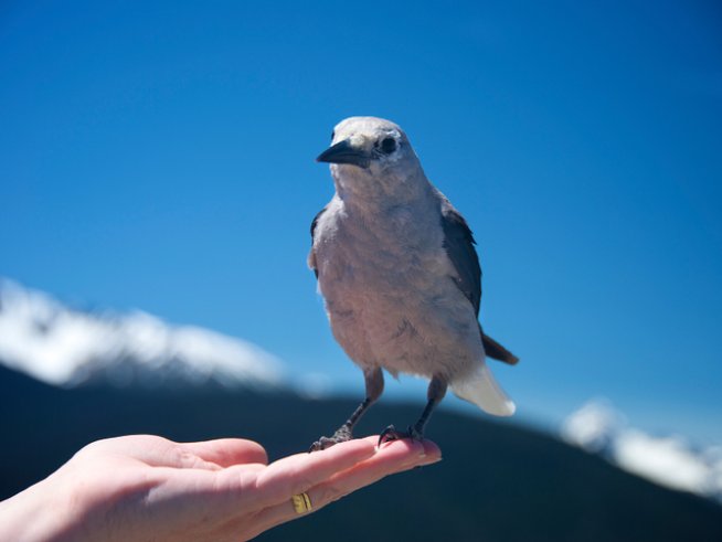 Снимка: istock