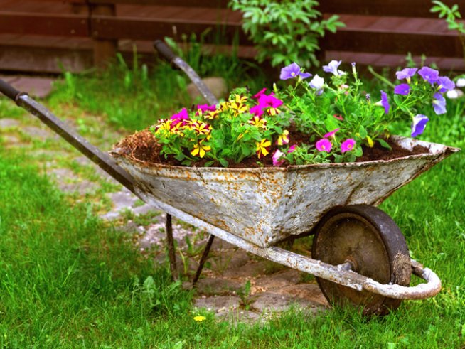 Снимка: Istock