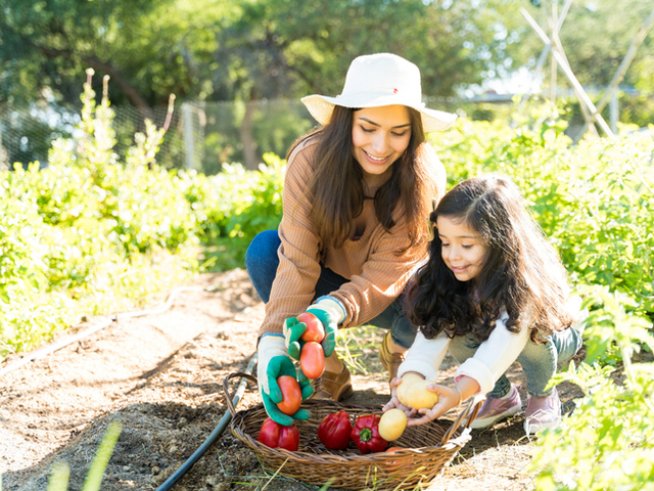 Снимка: istock