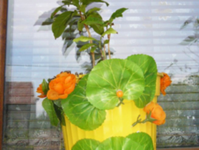 Колко пъти да рециклираме?