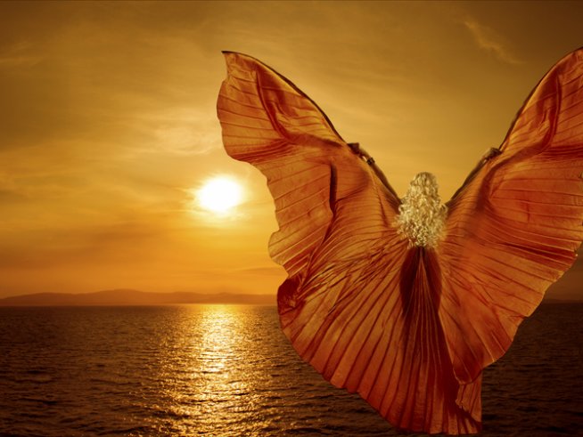 Снимка: istock