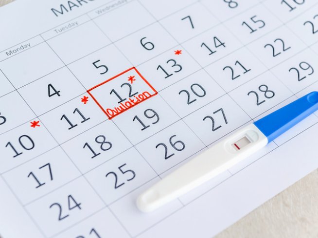 Снимка: istock