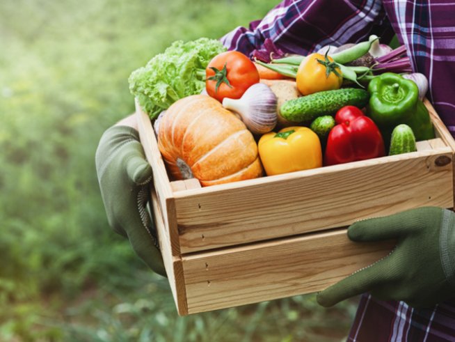 Снимка: istock