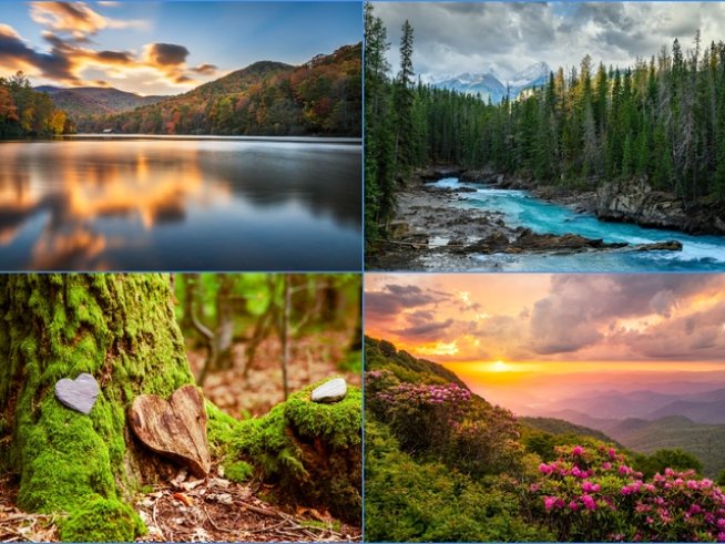 Снимки: istock