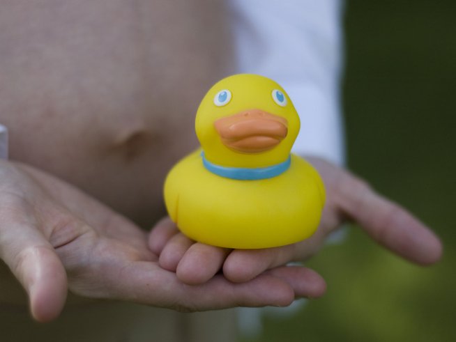 Снимка: Freeimages.com