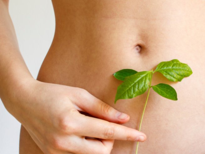 Снимка: Thinkstock