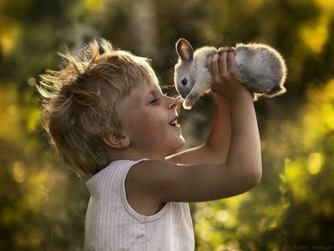 Снимка: Elena Shumilova, Flickr