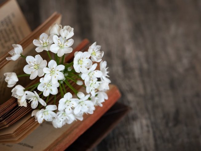 Снимка: pixabay