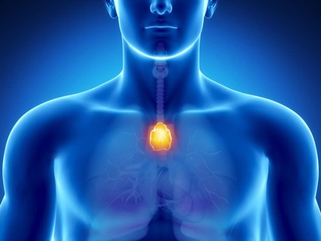 Снимка: istock