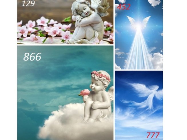 Снимки: istock