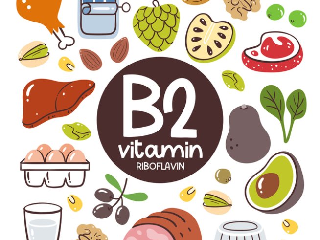 Снимка: istock