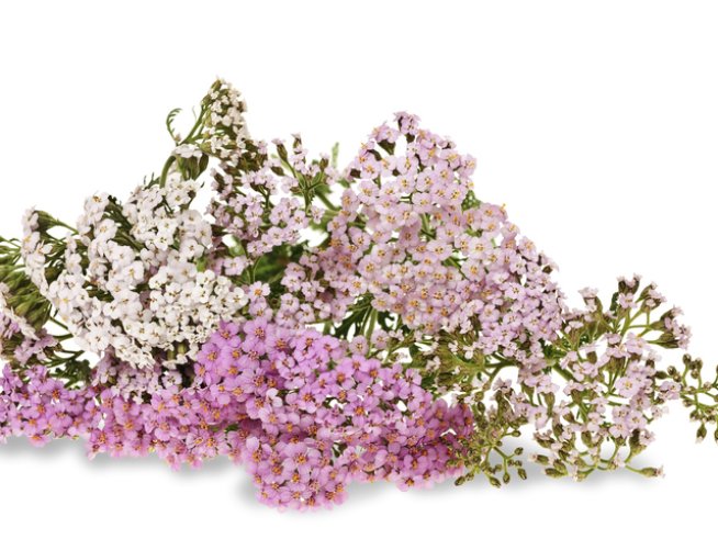 Снимка: Thinkstock