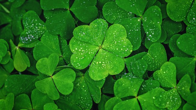 Поверия за здраве на Гергьовден. Снимка: istock