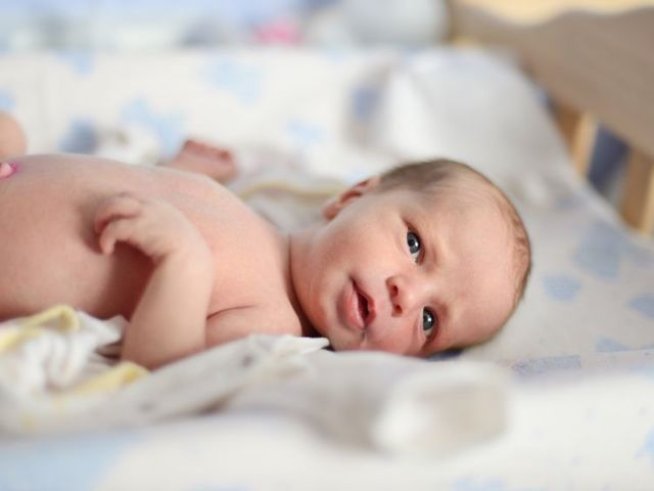 Снимка: iStock