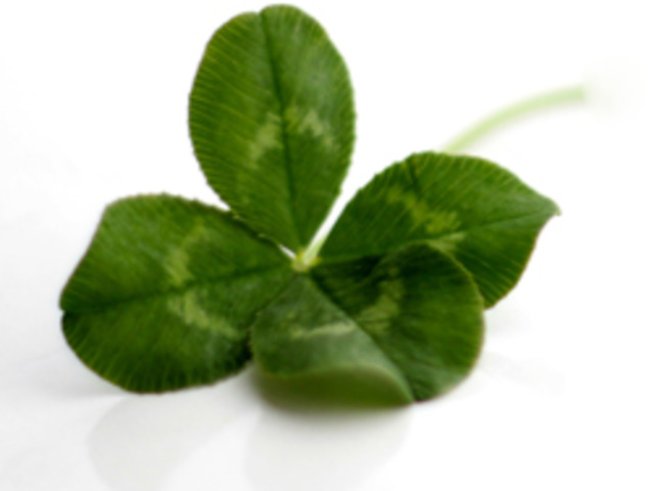 Пожелай ми късмет и успех