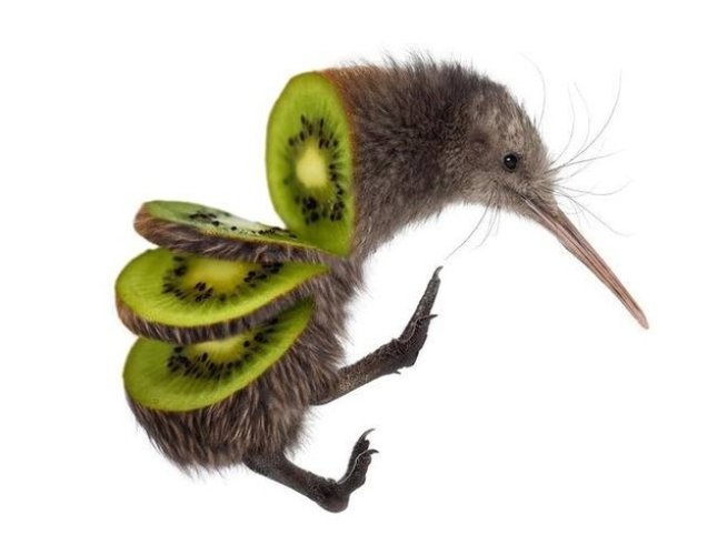 Снимки: facebook Sarah DeRemer Art 