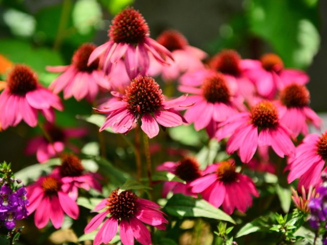 Снимка: Thinkstock