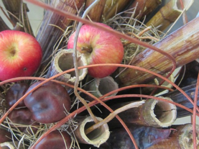 Цветни аранжировки за дома с въображение