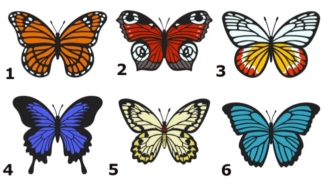 Тест с пеперуди.Снимка: iStock