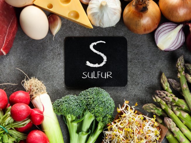 Снимка: istock