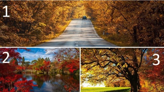 Три картини разкриват какво ви очаква до края на септември.Снимки: Pixabay